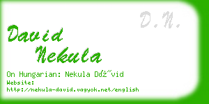 david nekula business card